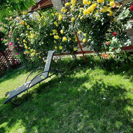 Casa De Vacanta Alexoiu Două Mai Extérieur photo