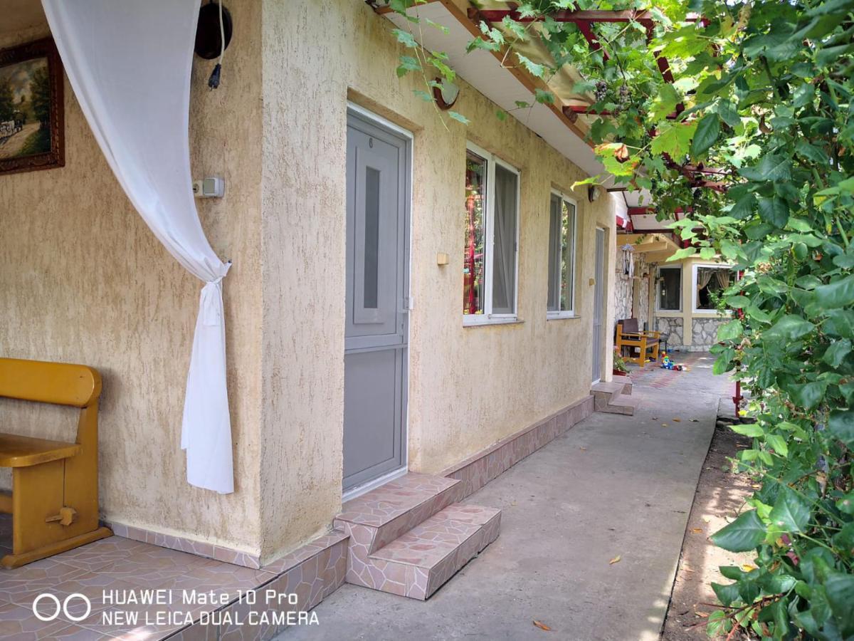 Casa De Vacanta Alexoiu Două Mai Extérieur photo