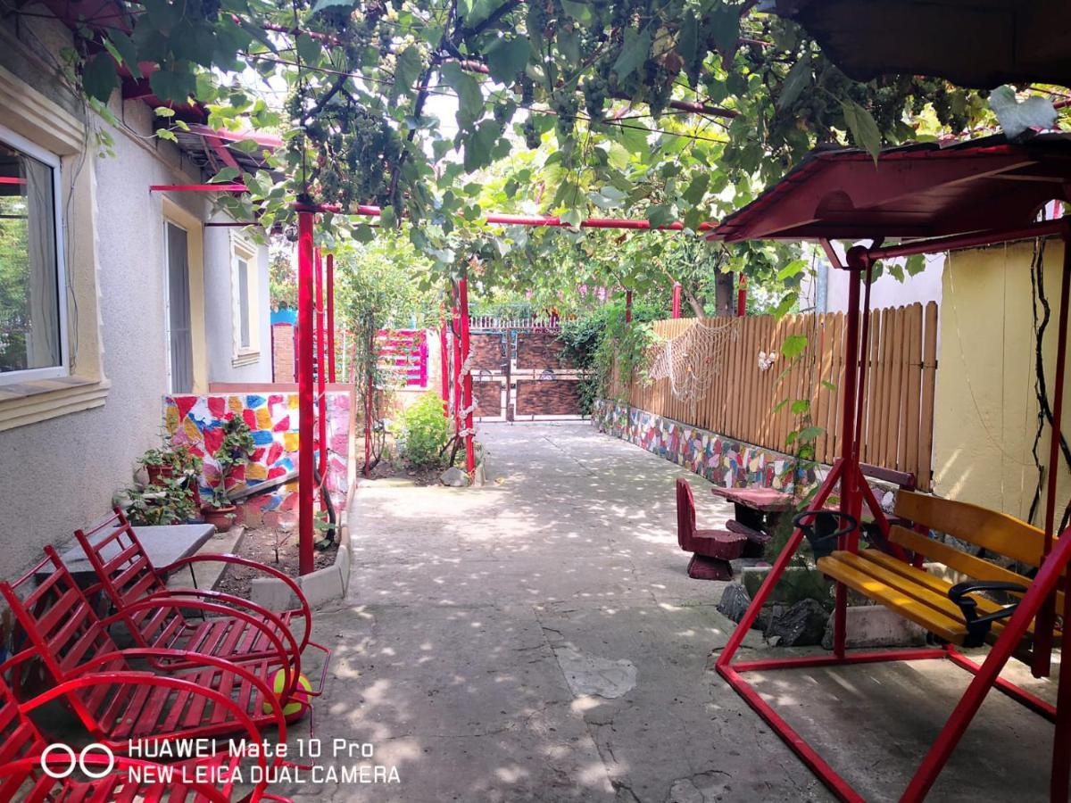 Casa De Vacanta Alexoiu Două Mai Extérieur photo