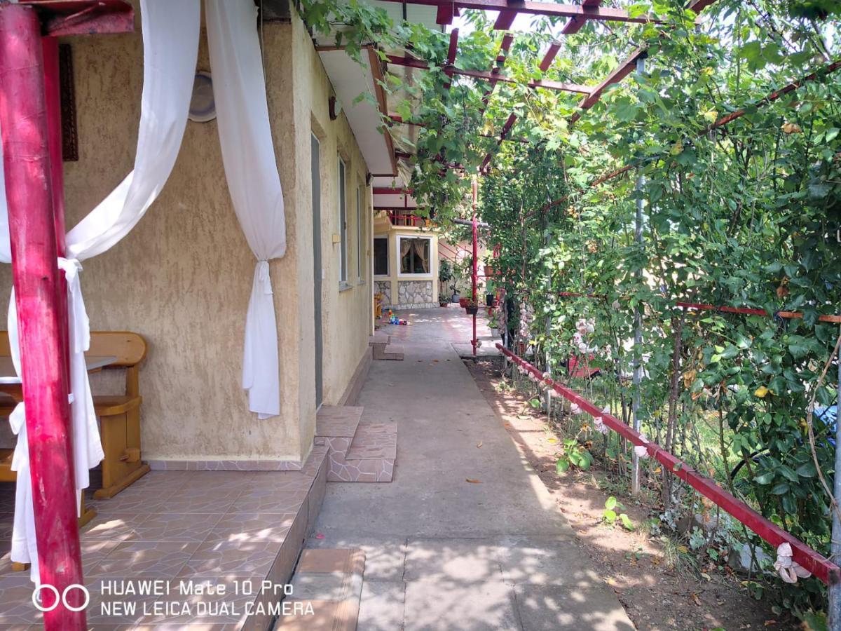 Casa De Vacanta Alexoiu Două Mai Extérieur photo